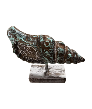 Shell Pici S (80590)