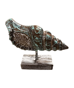 Shell Pici S (80590)