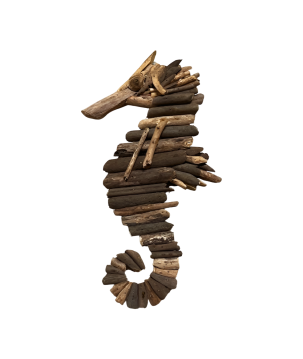 Seahorse WD H45cm (80562)