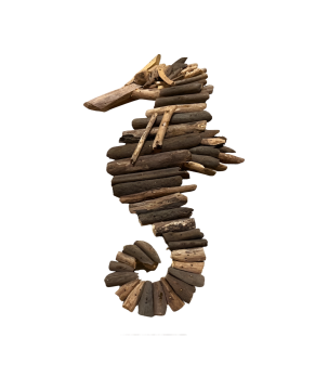 Seahorse WD H45cm (80562)