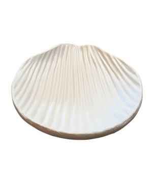 Tray shell small D20H3cm(80712)
