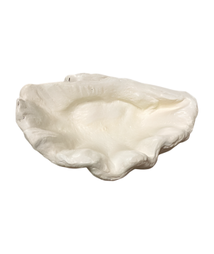 Bowl shell pearl 30x25H15cm (80713)