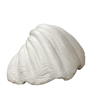 Bowl shell pearl 30x25H15cm (80713)