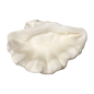 Bowl shell pearl 30x25H15cm (80713)