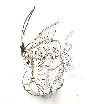 Coco fish hang 30x30H34cm