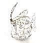 Coco fish hang 30x30H34cm