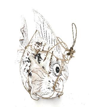 Coco fish hang(5556)