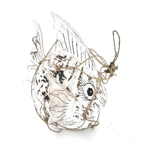 Coco fish hang(5556)