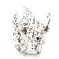 Coco fish hang 30x30H34cm