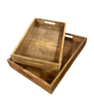 Tray S 32x22H11cm (3739)