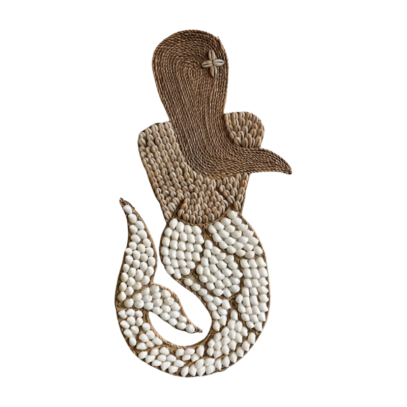 Mermaid shell (3846)