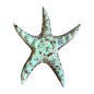 Starfish carved (80582)