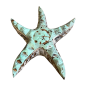 Starfish carved (80582)