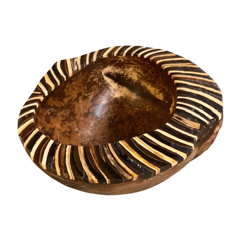 Bowl coco zebra(80870)