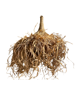 Lamp hat Rombe D50cm(80552)