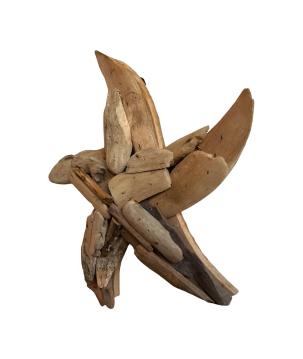 Starfish 30cm walldeco driftw.(3300)