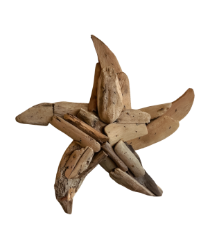 Starfish 30cm walldeco driftw.(3300)