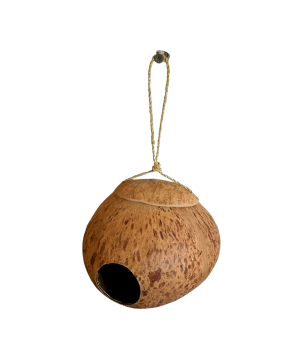 Birdhouse coco (3882)