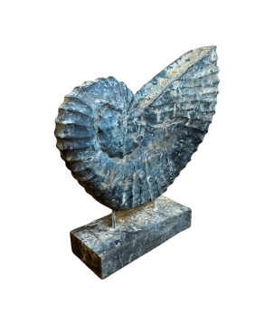 Shell on stick H25cm(5980)