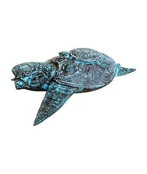 Turtle white/blue (80284)