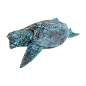 Turtle white/blue (80284)