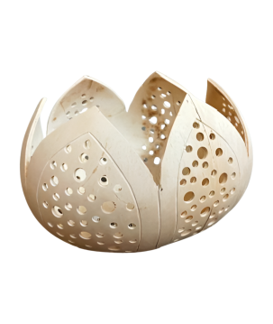 Candleh. coco lotus (80863)