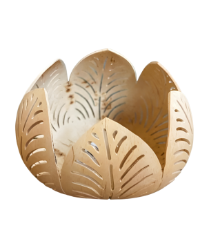 Candleh. coco live (80864)