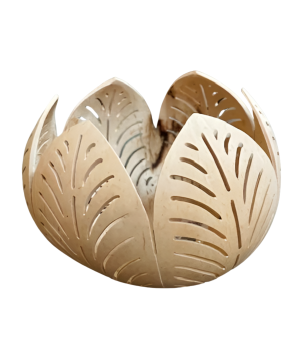 Candleh. coco live (80864)