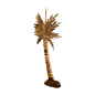 Palmtree driftw. H75cm(80893)