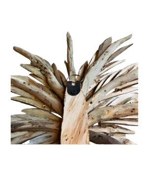 Palmtree driftw. H75cm(80893)