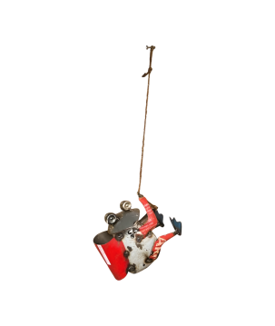 Climing Frog 20x13H19(80889)