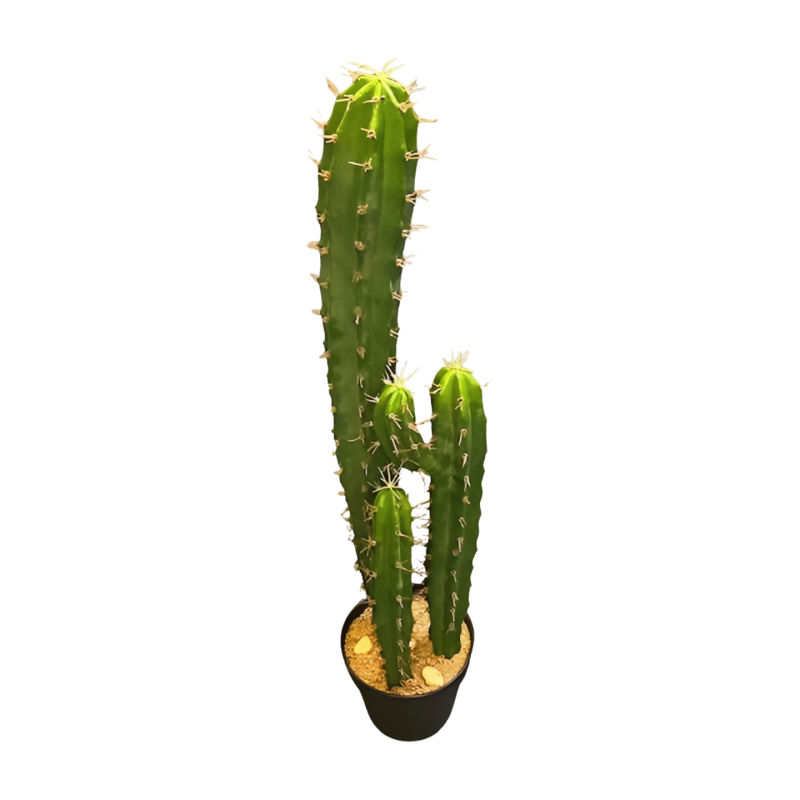 Cactus in pot 97cm