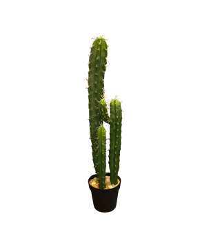 Cactus in pot 97cm
