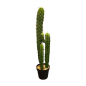 Cactus in pot 97cm