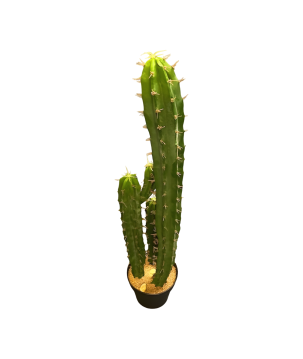 Cactus in pot 97cm