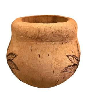 Coco pot palm  (3560)