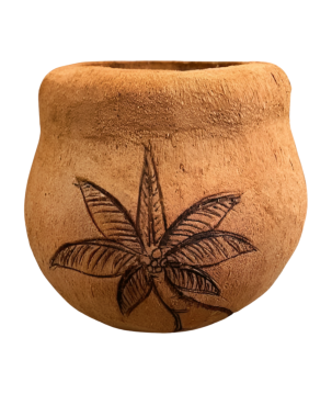Coco pot palm  (3560)