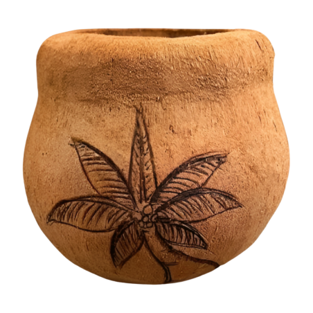 Coco pot palm  (3560)