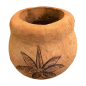 Coco pot palm  (3560)