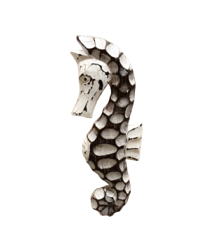 Seahorse brown white H25cm(7258)
