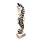 Seahorse br.wh.35cm(7259)