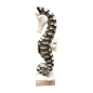 Seahorse br.wh.35cm(7259)
