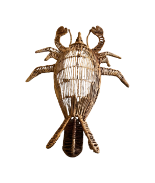 Lobster waterh. L 65cm(80974)