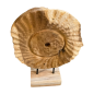 Fossiel wood D30H45cm(7015)