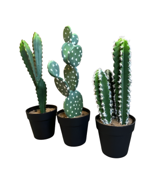 cactus in pot 40cm (mix)