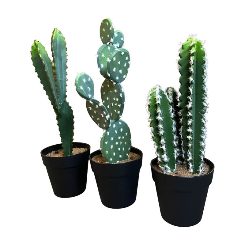 cactus in pot 40cm (mix)