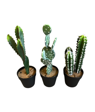 cactus in pot 40cm (mix)