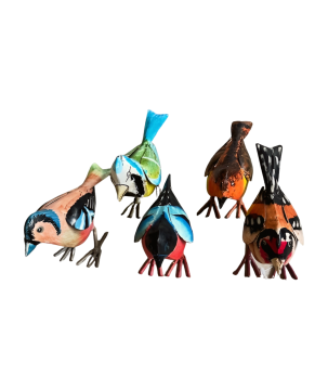 Bird Sharma mix 15x6x10cm(7007)