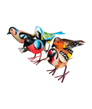 Bird Sharma mix 15x6x10cm(7007)