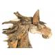 Horse head teak H85cm(3206)